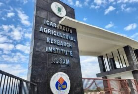 Walk in Interview, Project Associate – ICAR – Indian Agricultural Research Institute (ICAR)