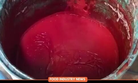 Toxic Tomato Sauce Factory Busted Near Meerut — Sold to Vendors at ₹20/Litre