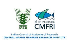 Project Fellow(Fisheries & Aquaculture) : ICAR-CMFRI