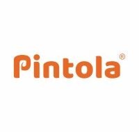 QA/QC Executive – Pintola