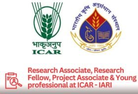 Young Professional – ICAR-IARI