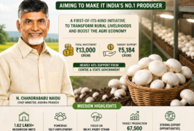 Andhra Pradesh’s ₹13,000 Cr Mushroom Mission Aims to Make It India’s No.1 Producer