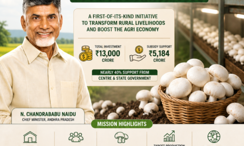 Andhra Pradesh’s ₹13,000 Cr Mushroom Mission Aims to Make It India’s No.1 Producer