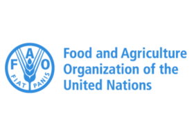 Project Coordinator – The Food and Agriculture Organization