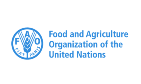 Project Coordinator – The Food and Agriculture Organization