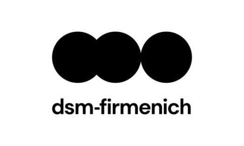 Production Head, PE – dsm-firmenich