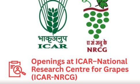 Young Professional-II – ICAR–National Research Centre for Grapes (ICAR-NRCG)