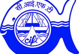 Walk in interview, Project Assistant – ICAR Central Institute of Fisheries Technology (CIFT)