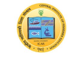 Young Professional-II : ICAR – Central Institute of Fisheries Education (ICAR-CIFE), Mumbai