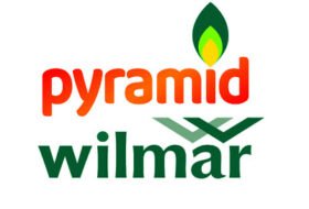 Assistant Manager R&D – Pyramid Wilmar