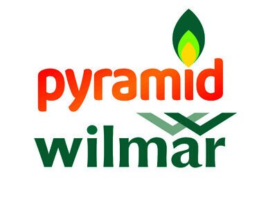 Assistant Manager R&D – Pyramid Wilmar